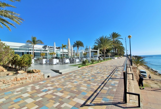 Herverkoop - Appartement / flat - Punta Prima