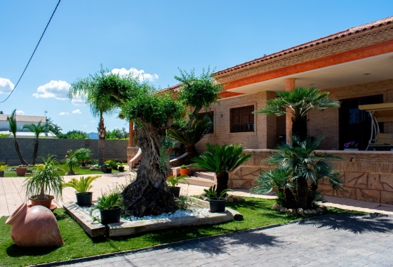 Resale - Finca / Country Property - Orihuela Costa - El raal