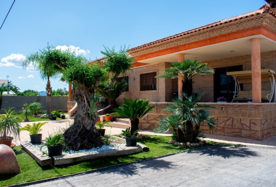 Resale - Finca / Country Property - Orihuela Costa - El raal