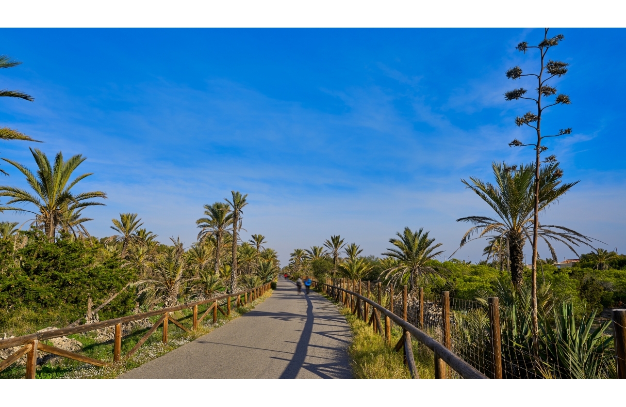 Resale - Apartment / flat - Guardamar del Segura - El Moncayo