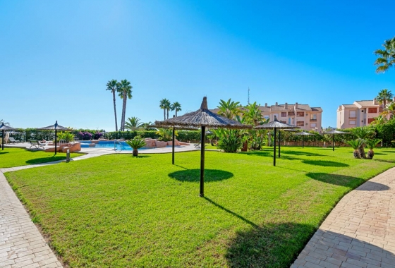 Revente - Appartement - Cabo Roig