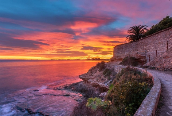 Revente - Appartement - Cabo Roig