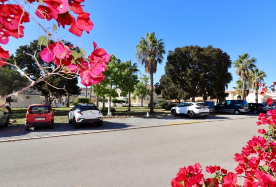 Resale - House - Ciudad Quesada - Doña Pepa