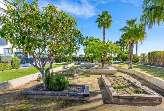 Resale - Apartment / flat - Orihuela Costa - Los Dolses