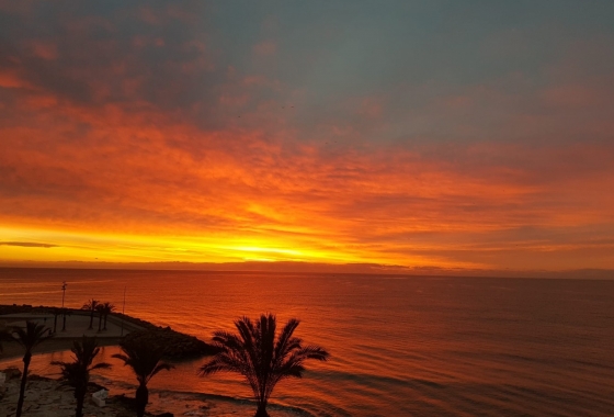 Resale - Apartment / flat - Torrevieja - Playa del Cura