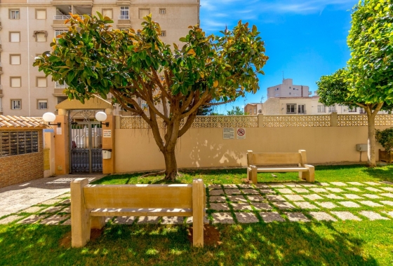 Resale - Apartment / flat - Torrevieja - Center
