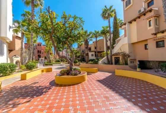 Resale - Apartment / flat - Torrevieja - Playa Los Locos