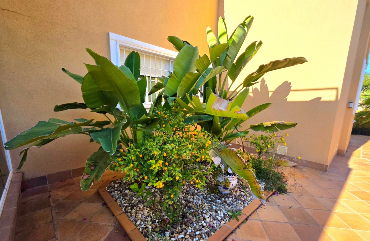 Resale - Villa - Torrevieja - Cabo Cervera