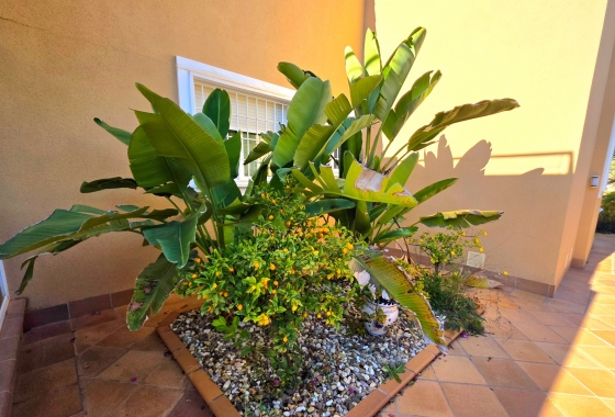 Resale - Villa - Torrevieja - Cabo Cervera