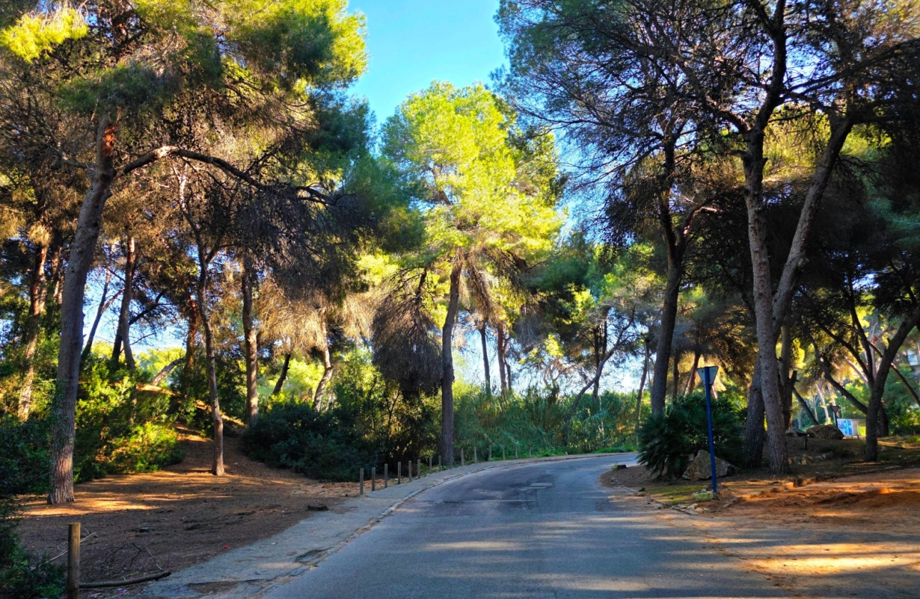 Resale - Villa - Torrevieja - Cabo Cervera