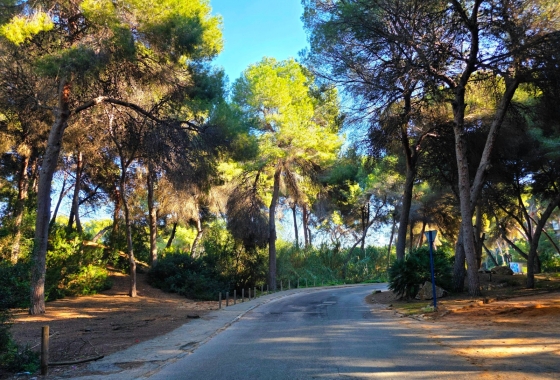 Resale - Villa - Torrevieja - Cabo Cervera