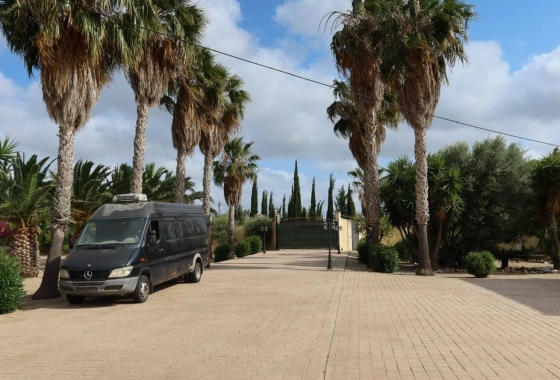 Resale - Finca / Country Property - Orihuela Costa - Orihuela