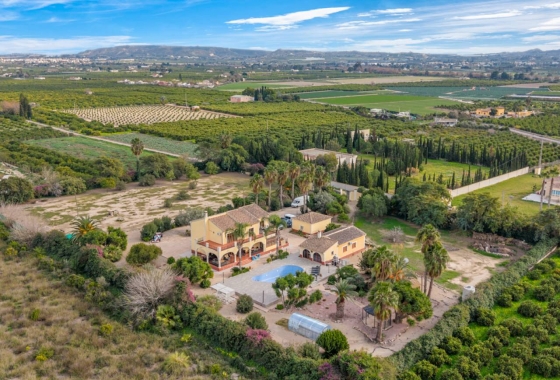 Resale - Finca / Country Property - Orihuela Costa - Orihuela