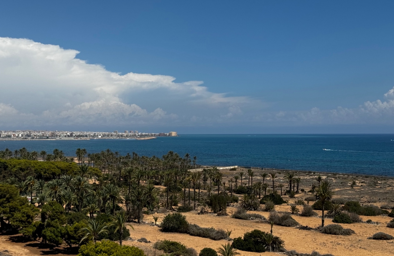 Revente - Appartement - Punta Prima