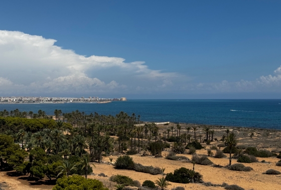 Revente - Appartement - Punta Prima