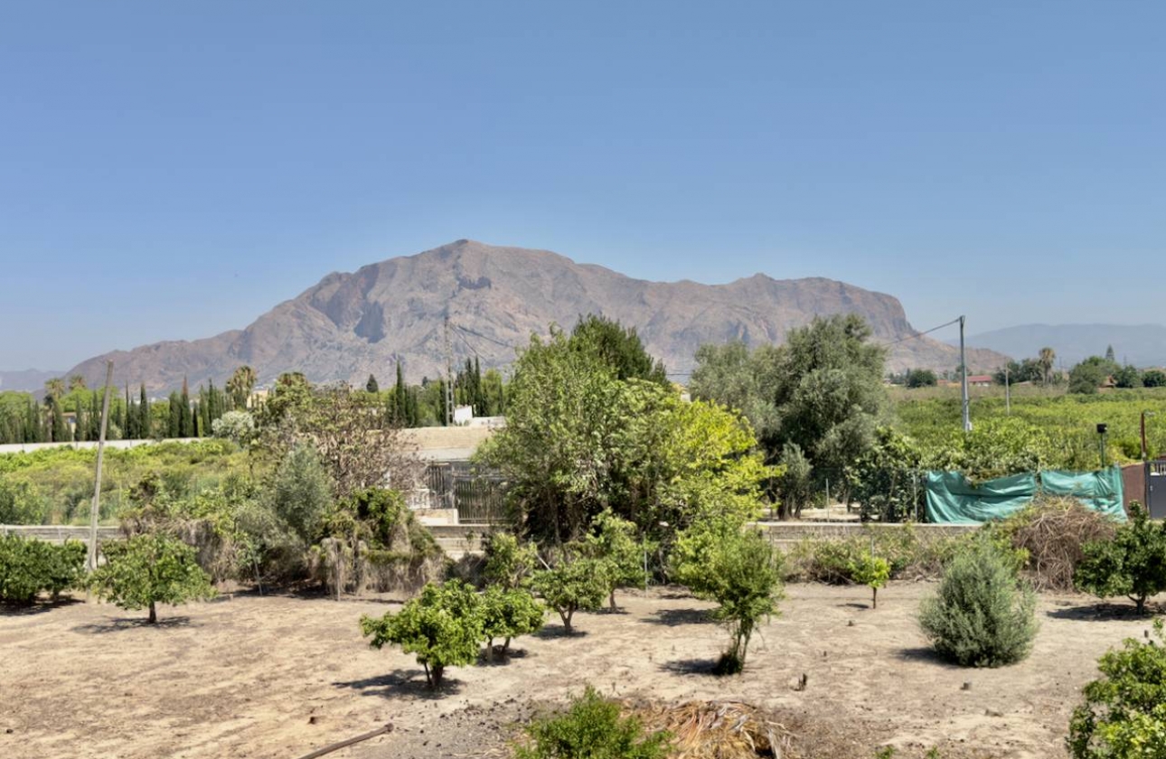 Resale - Finca / Country Property - Orihuela Costa - Orihuela