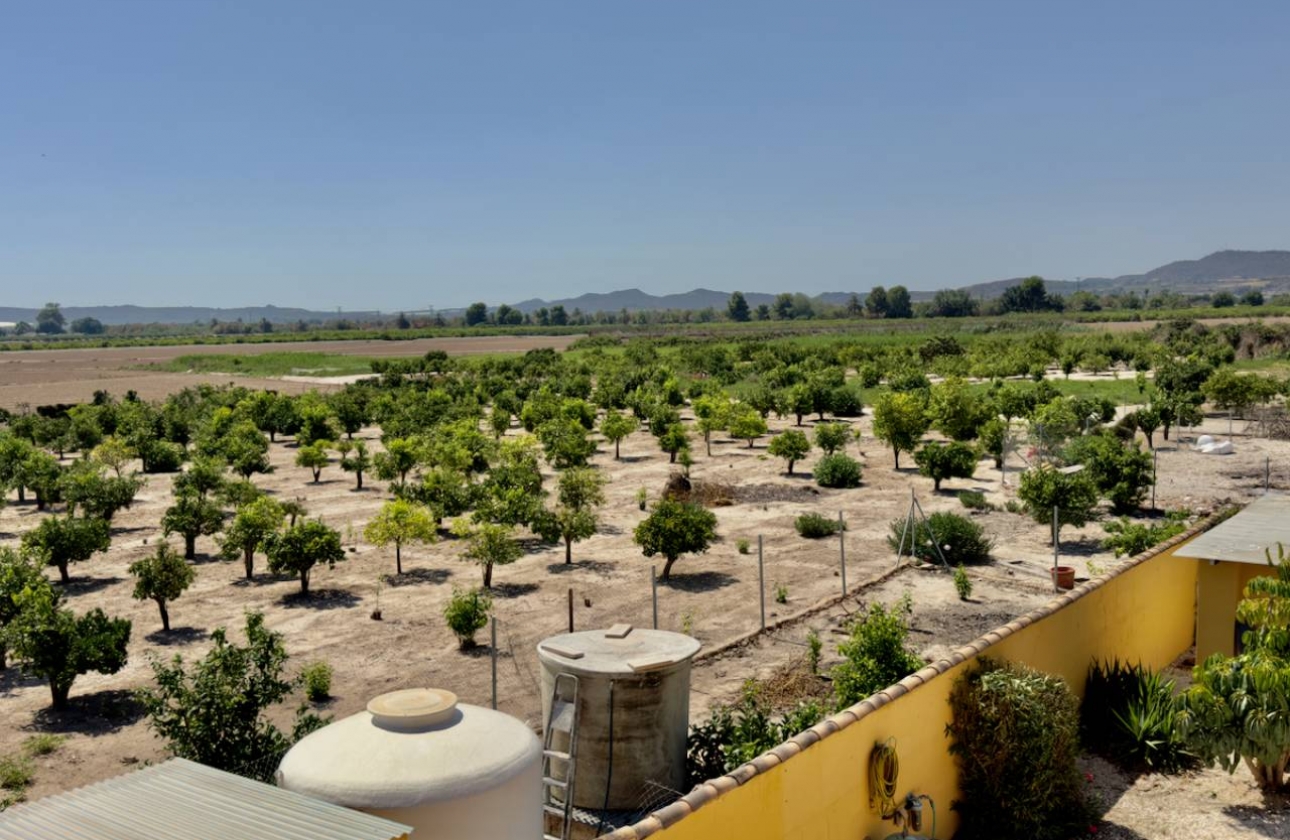 Resale - Finca / Country Property - Orihuela Costa - Orihuela