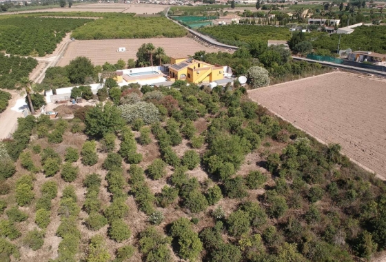 Resale - Finca / Country Property - Orihuela Costa - Orihuela