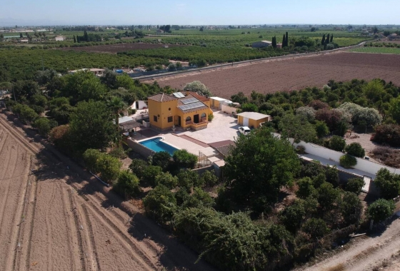 Resale - Finca / Country Property - Orihuela Costa - Orihuela