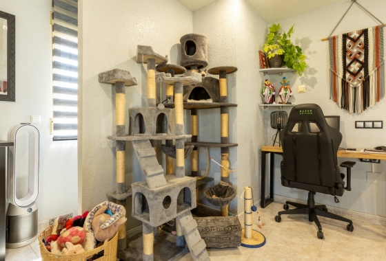 Resale - Villa - Benijofar