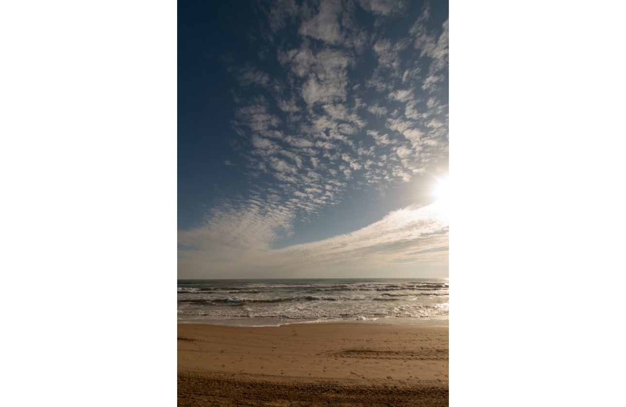 Resale - Villa - Guardamar del Segura