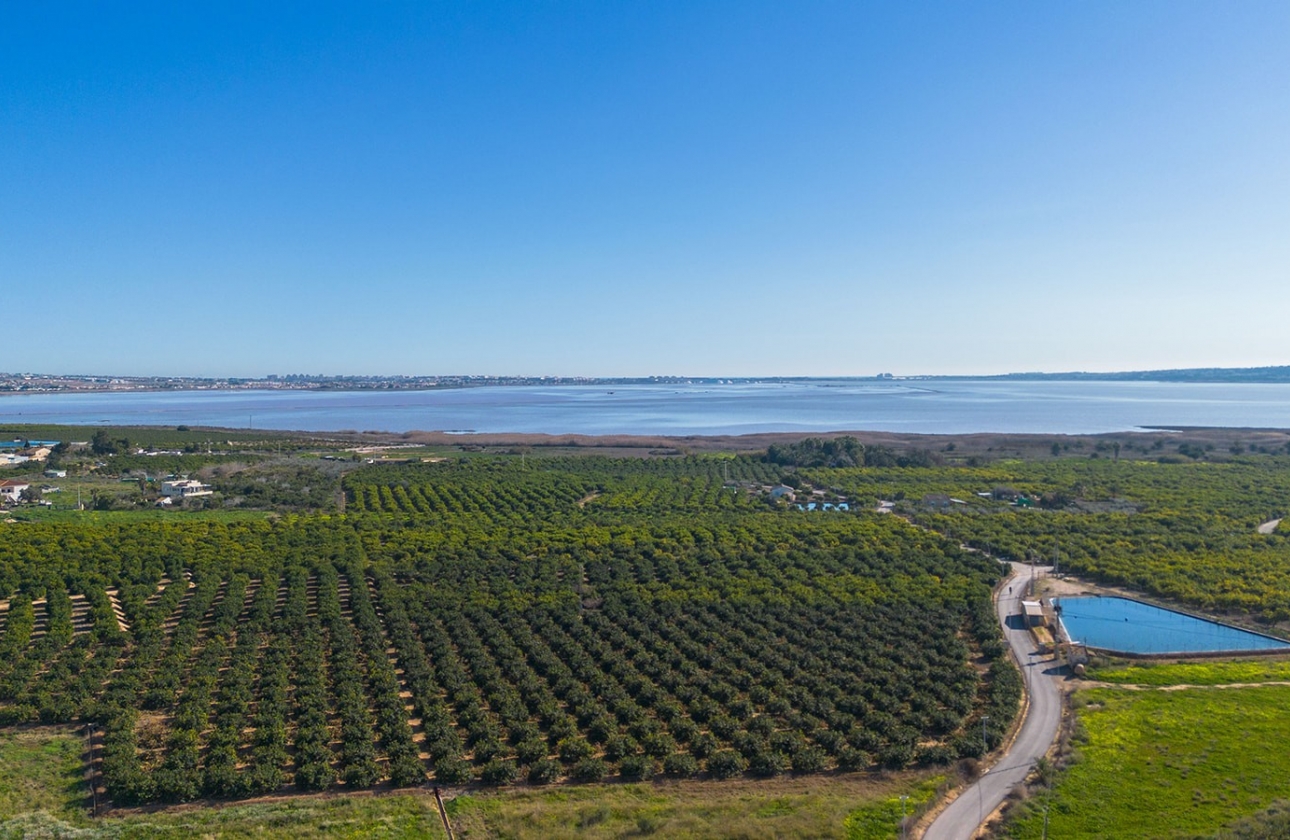 Resale - Apartment / flat - Los Montesinos