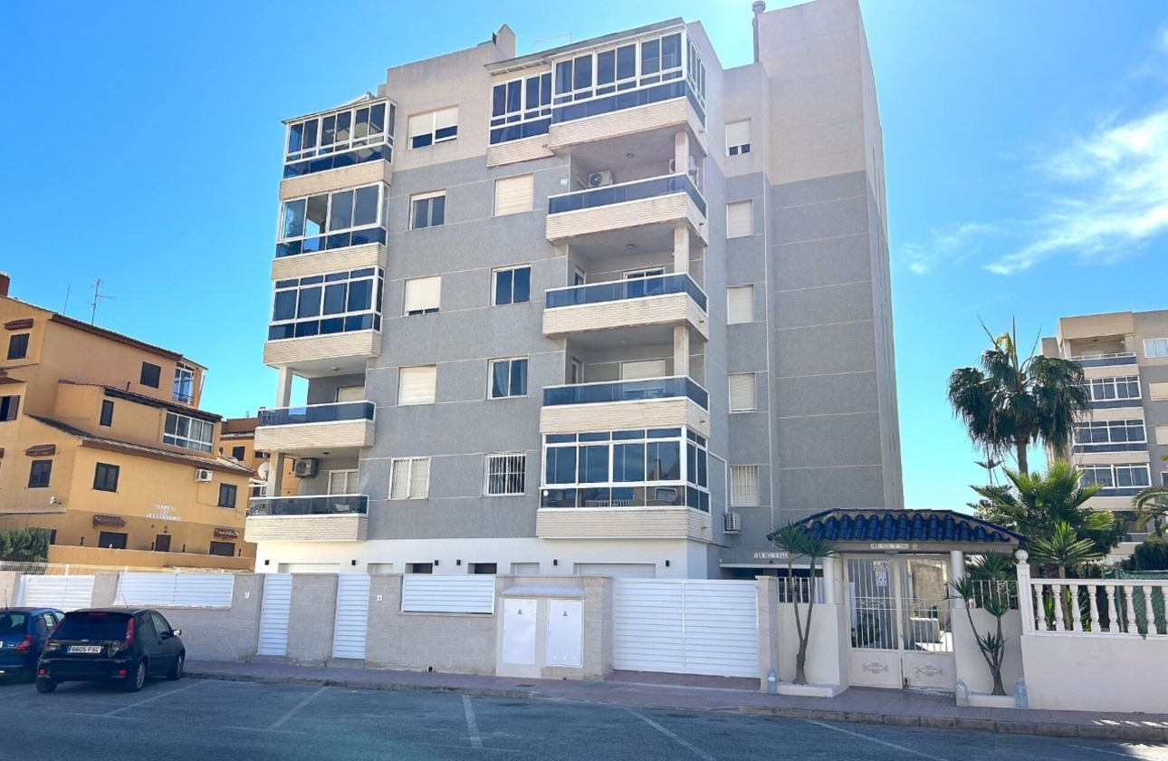 Obra nueva - Ground floor apartment - Torrevieja