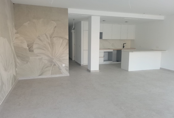 Obra nueva - Ground floor apartment - Torrevieja