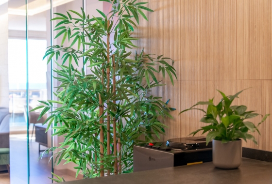 Revente - Appartement - Altea