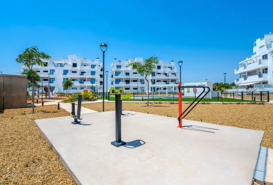 Reventa - Apartamento / piso - Torre Pacheco - Santa Rosalia