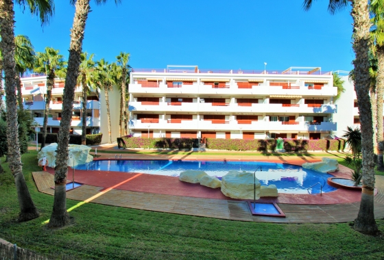 Reventa - Apartamento / piso - Playa Flamenca