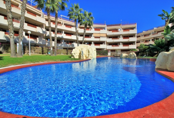 Reventa - Apartamento / piso - Playa Flamenca