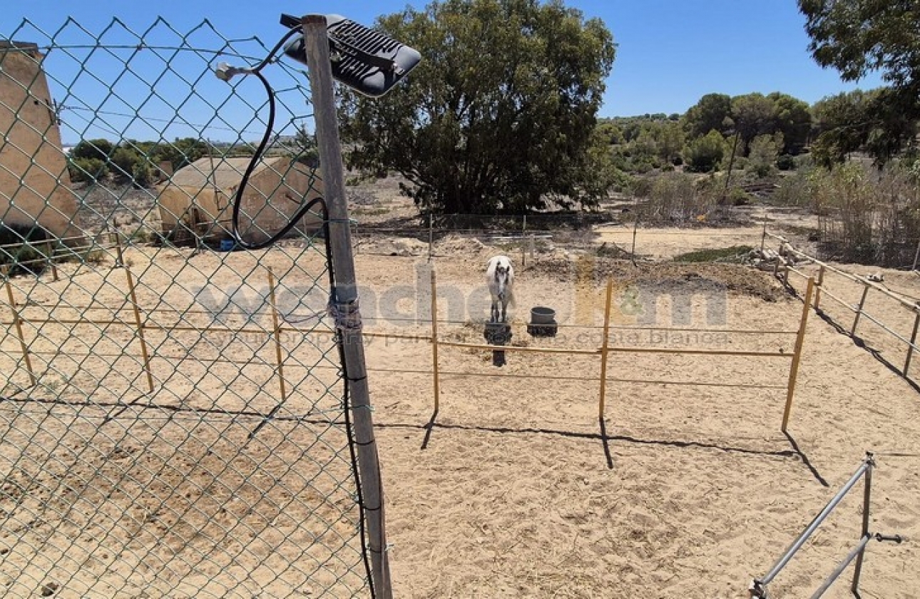 Reventa - Villa - Torrevieja - Los Balcones