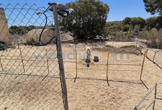 Reventa - Villa - Torrevieja - Los Balcones