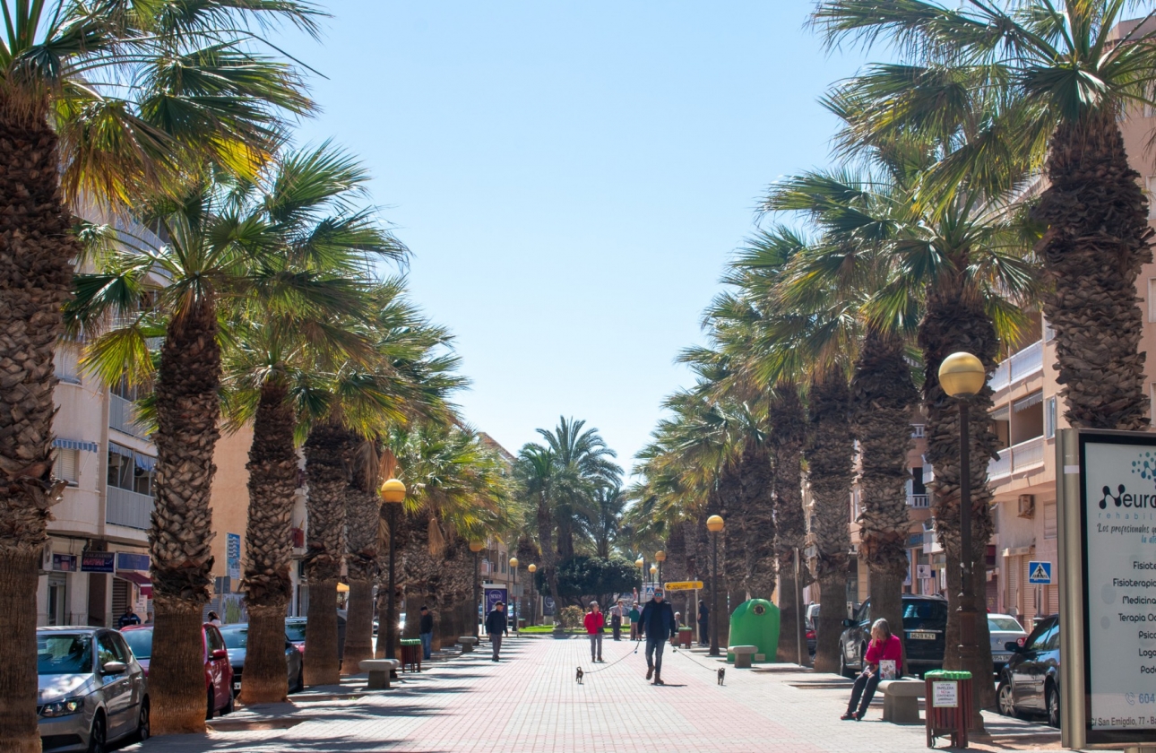 Resale - Apartment / flat - Guardamar del Segura