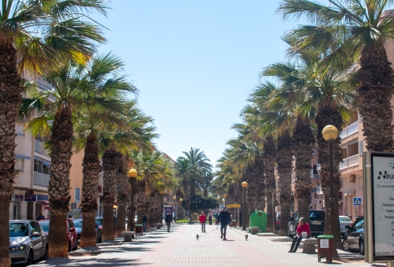 Resale - Apartment / flat - Guardamar del Segura