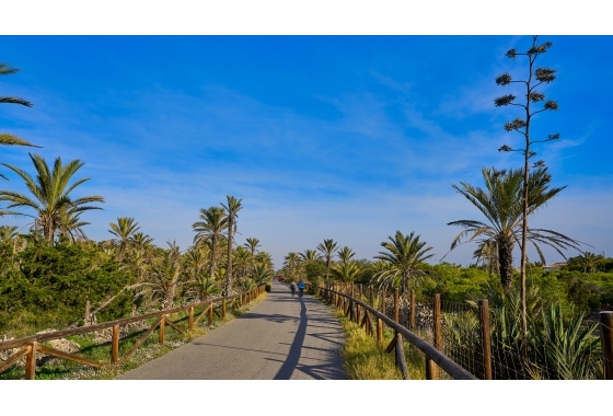 Resale - Apartment / flat - Guardamar del Segura