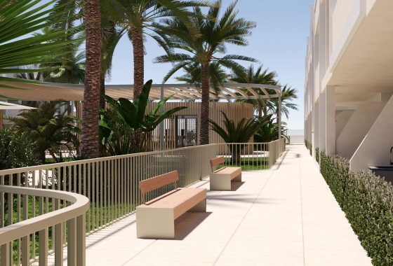 Nouvelle construction - Appartement - Torre Pacheco - Torre-Pacheco