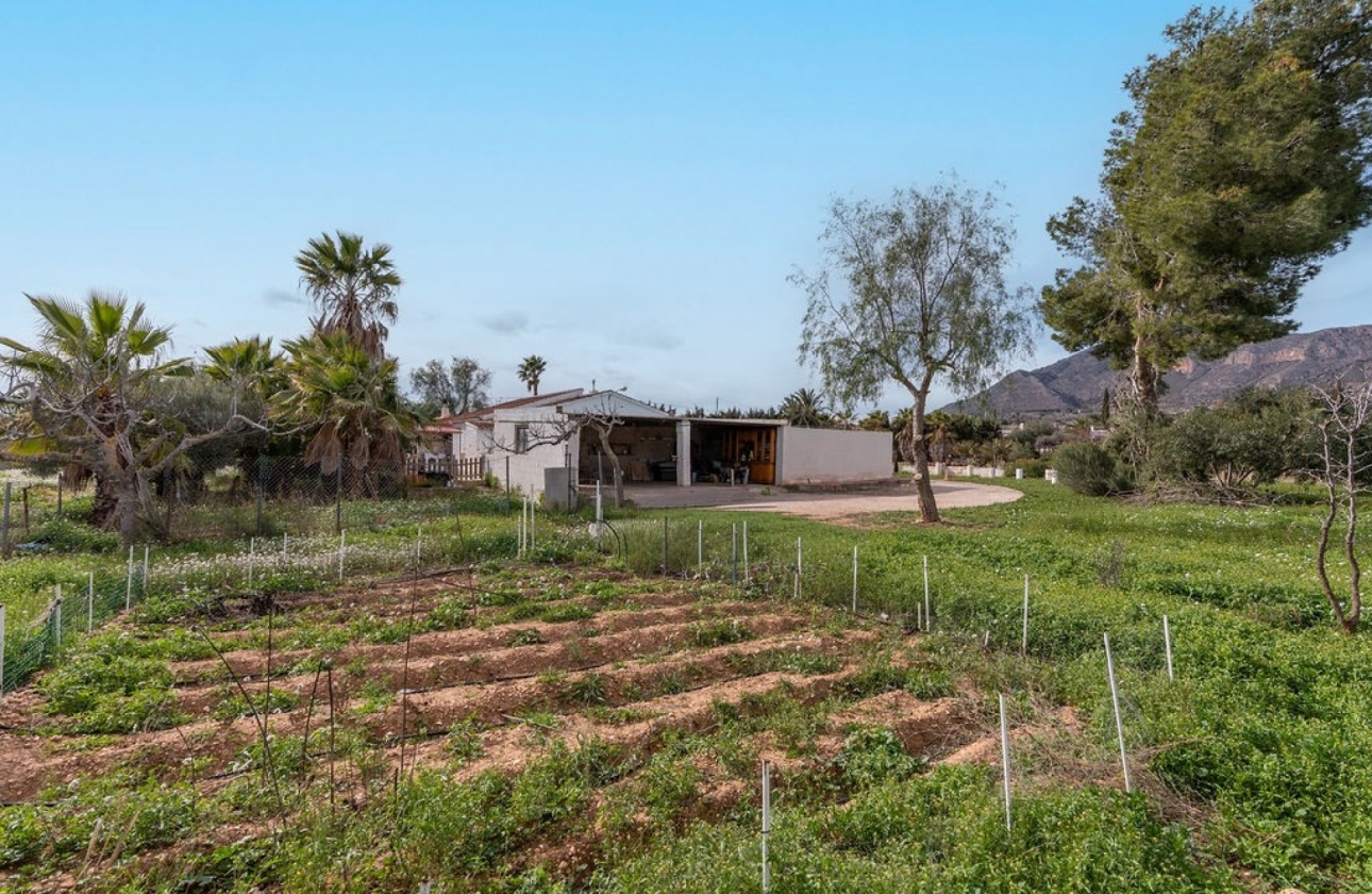 Revente - Villa - Hondón de las Nieves