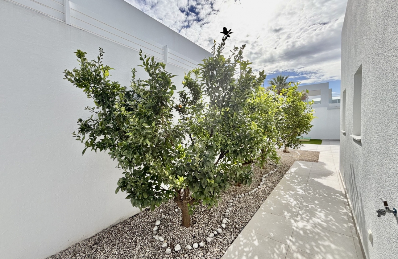 Nouvelle construction - Villa - Benijofar - Binijófar