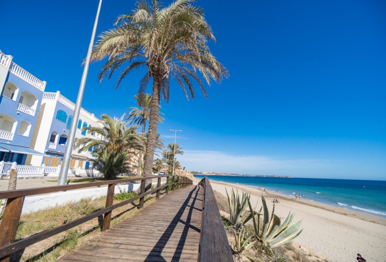 Revente - Appartement - Mil Palmeras - Beach