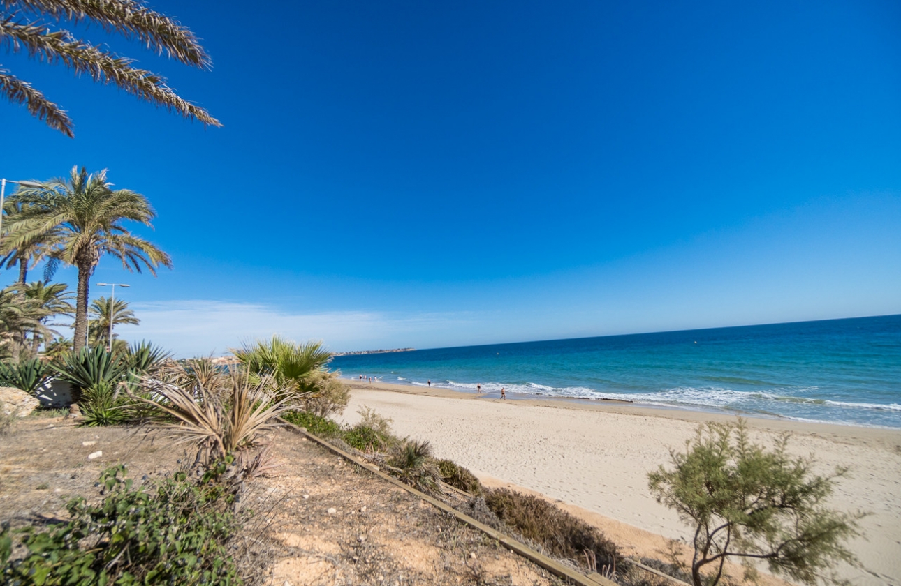 Revente - Appartement - Mil Palmeras - Beach