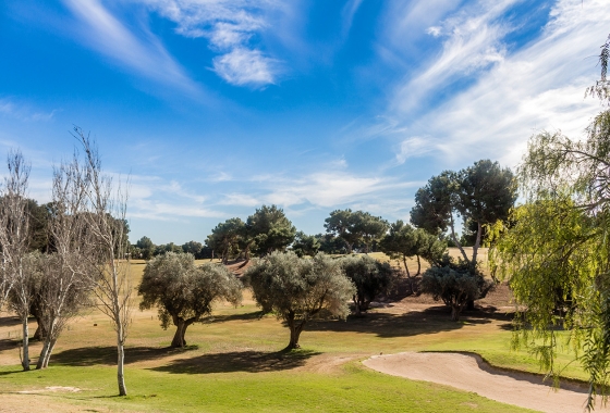 Resale - Apartment / flat - Villamartin