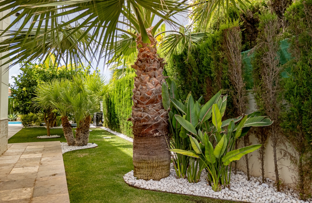 Revente - Villa - Orihuela Costa - Beachside