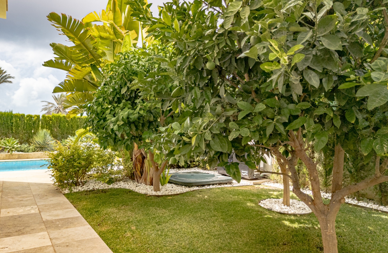 Revente - Villa - Orihuela Costa - Beachside