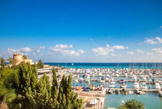 Reventa - Ático - Pilar de la Horadada - Lo Romero Golf