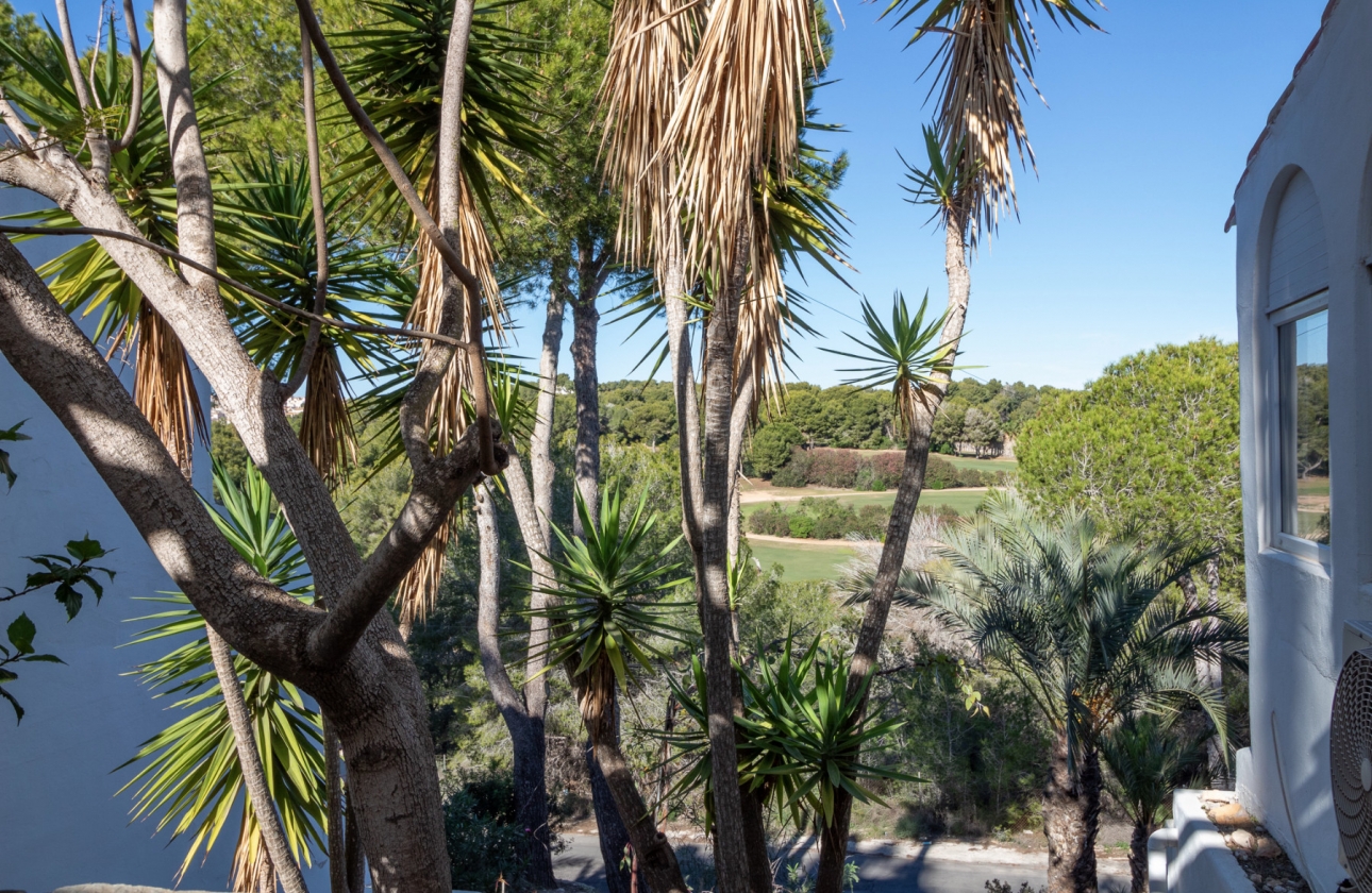 Revente - Villa - Villamartin - Fortuna