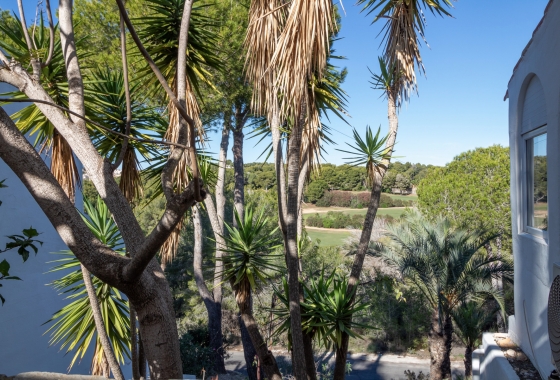 Revente - Villa - Villamartin - Fortuna