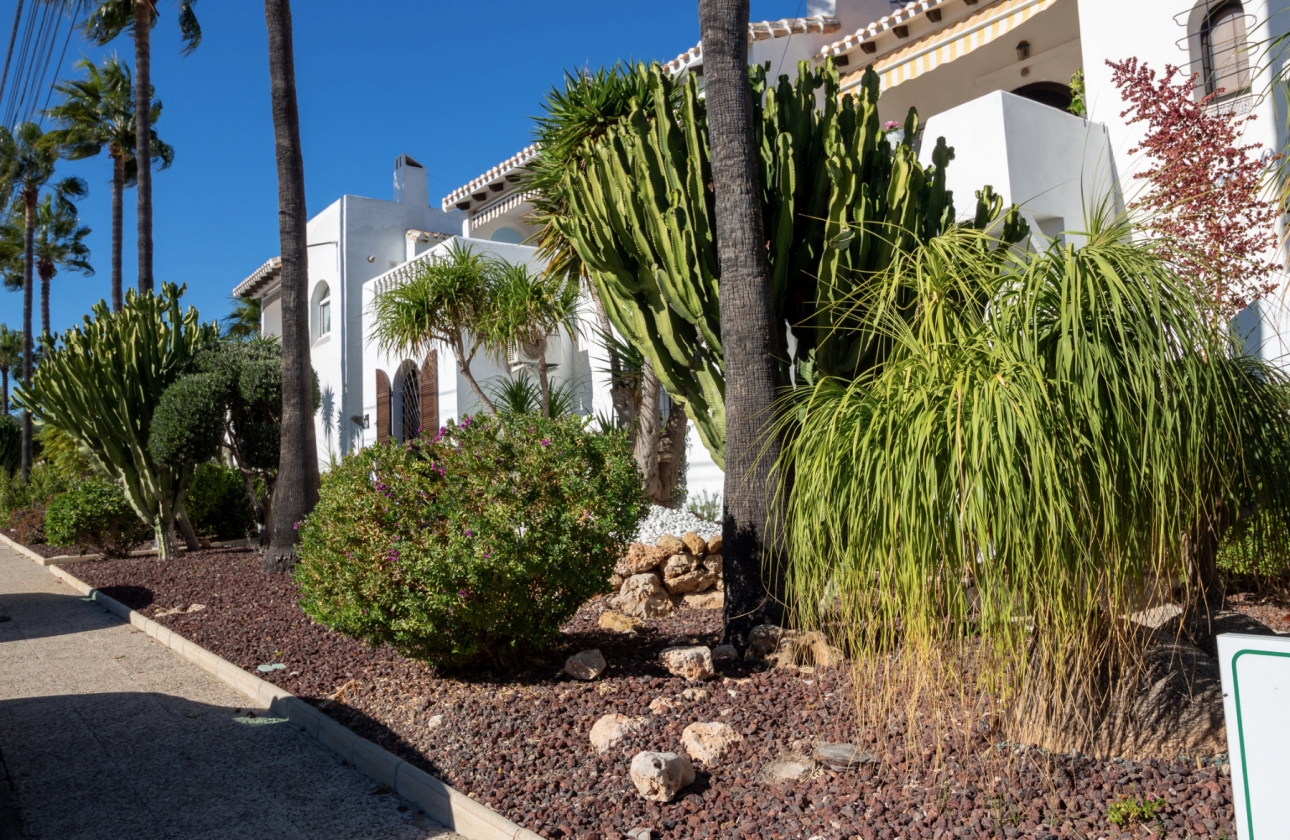 Revente - Villa - Villamartin - Fortuna