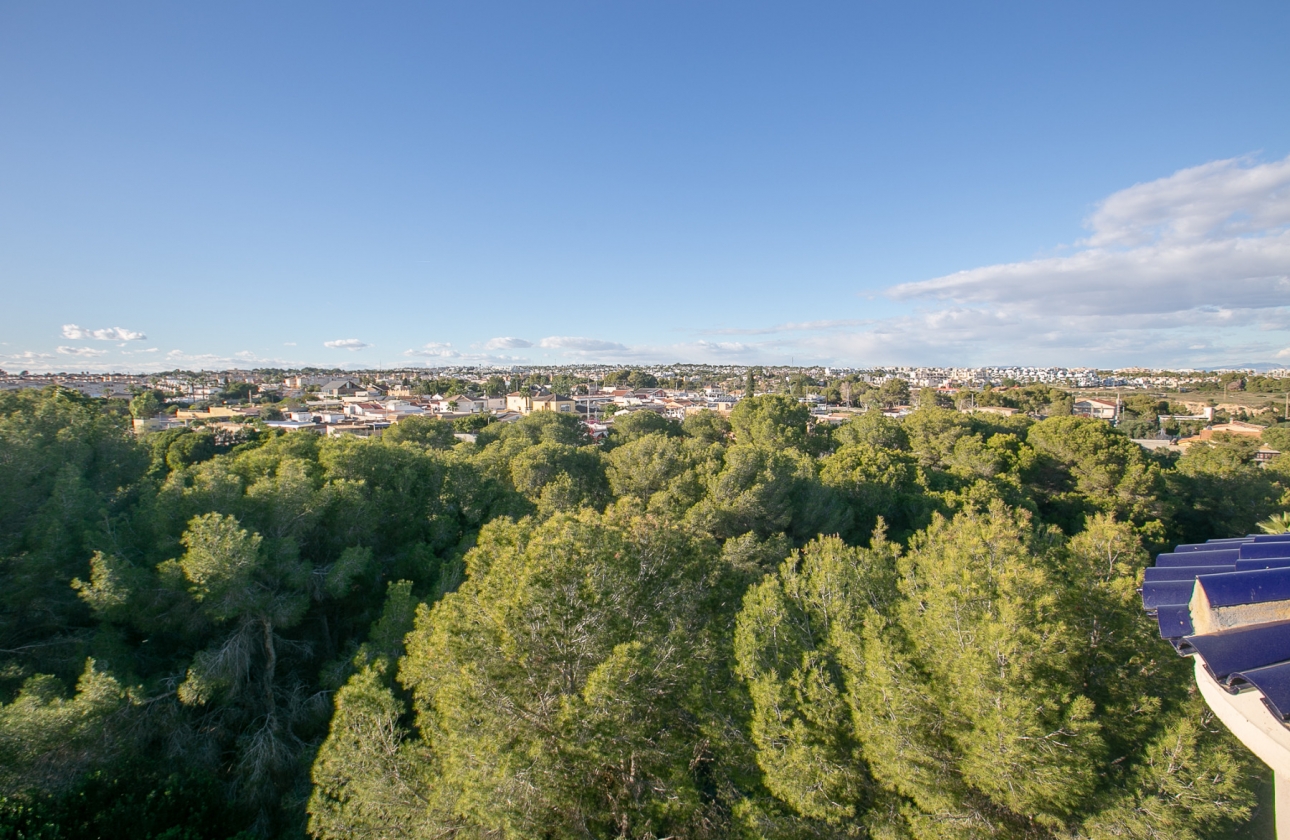 Revente - Appartement - Cabo Roig - Lomas de Cabo Roig